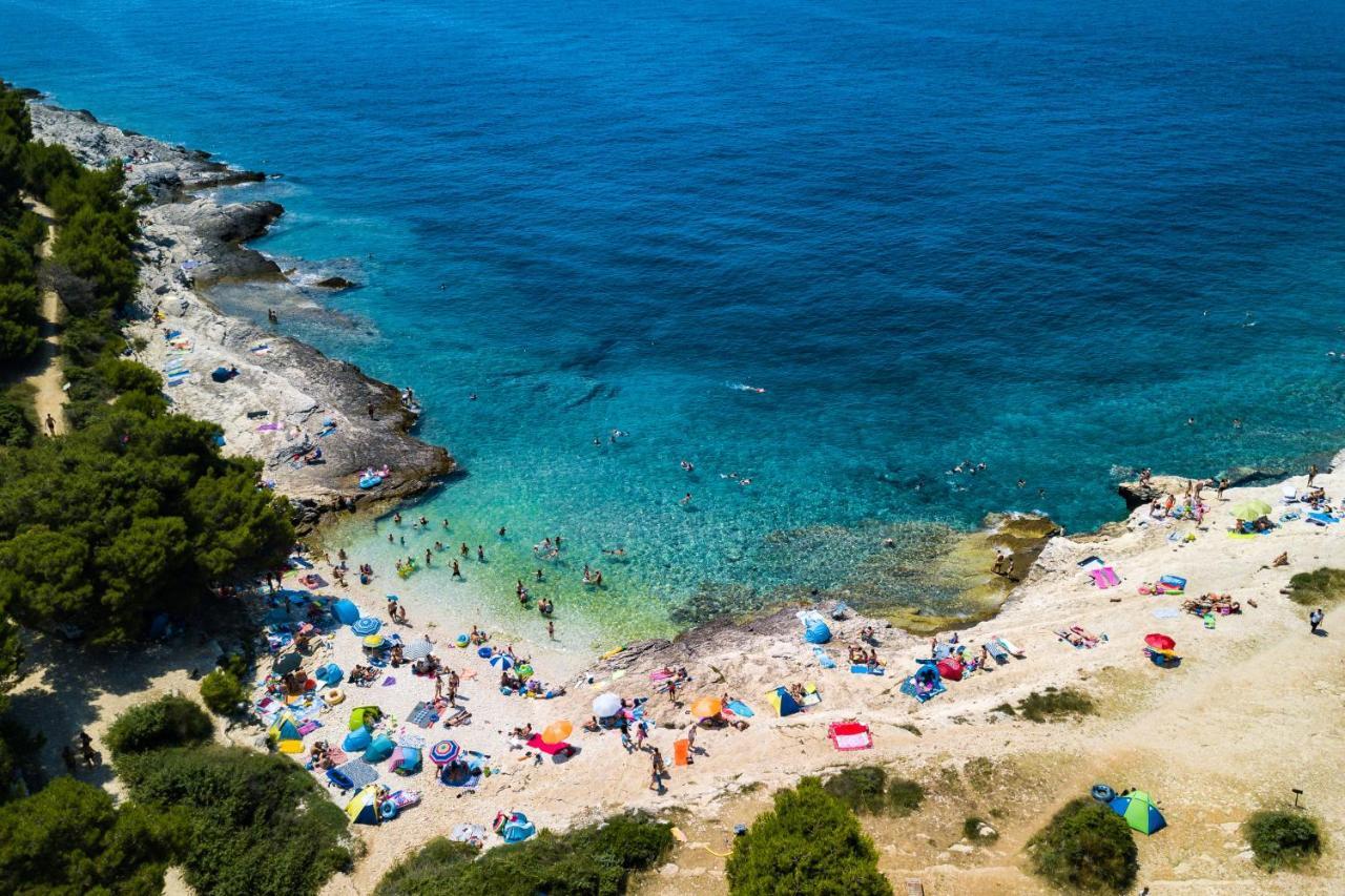 Lovely Istrian With A Private Swimming Pool And A Charming Garden *
